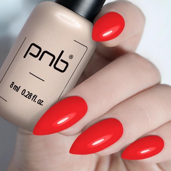 Гел лак PNB 8 мл 206
